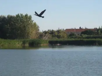 environnement